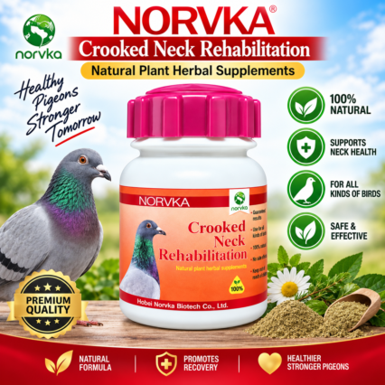 Crooked Neck Rehabilitation Tablets for Pigeons – 100 Count