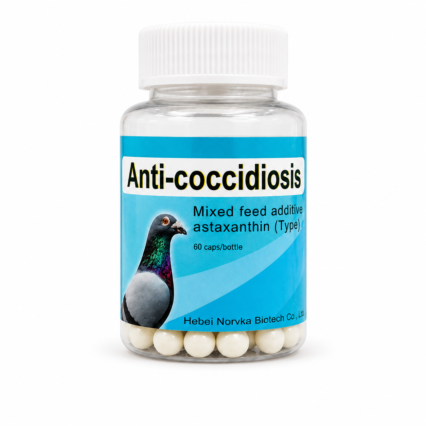 Anti-Coccidiosis Capsules for Pigeons – 60 Count