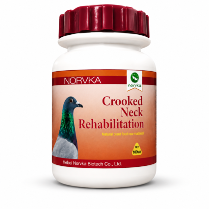 Crooked Neck Rehabilitation Tablets for Pigeons – 100 Count