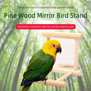 Small Bird Cage Toy