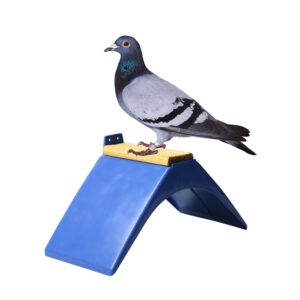 Plastic Pigeon Wall Perch