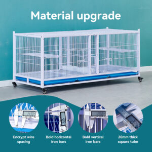 Large Pigeon and Bird Flight Cage