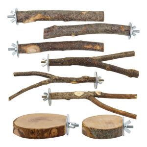 Bird Toy Activity Set