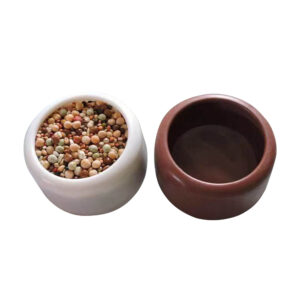Compact Plastic Pigeon Feeder
