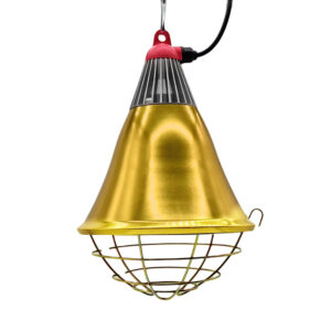 Insulated Bird Heat-Lamp Shade