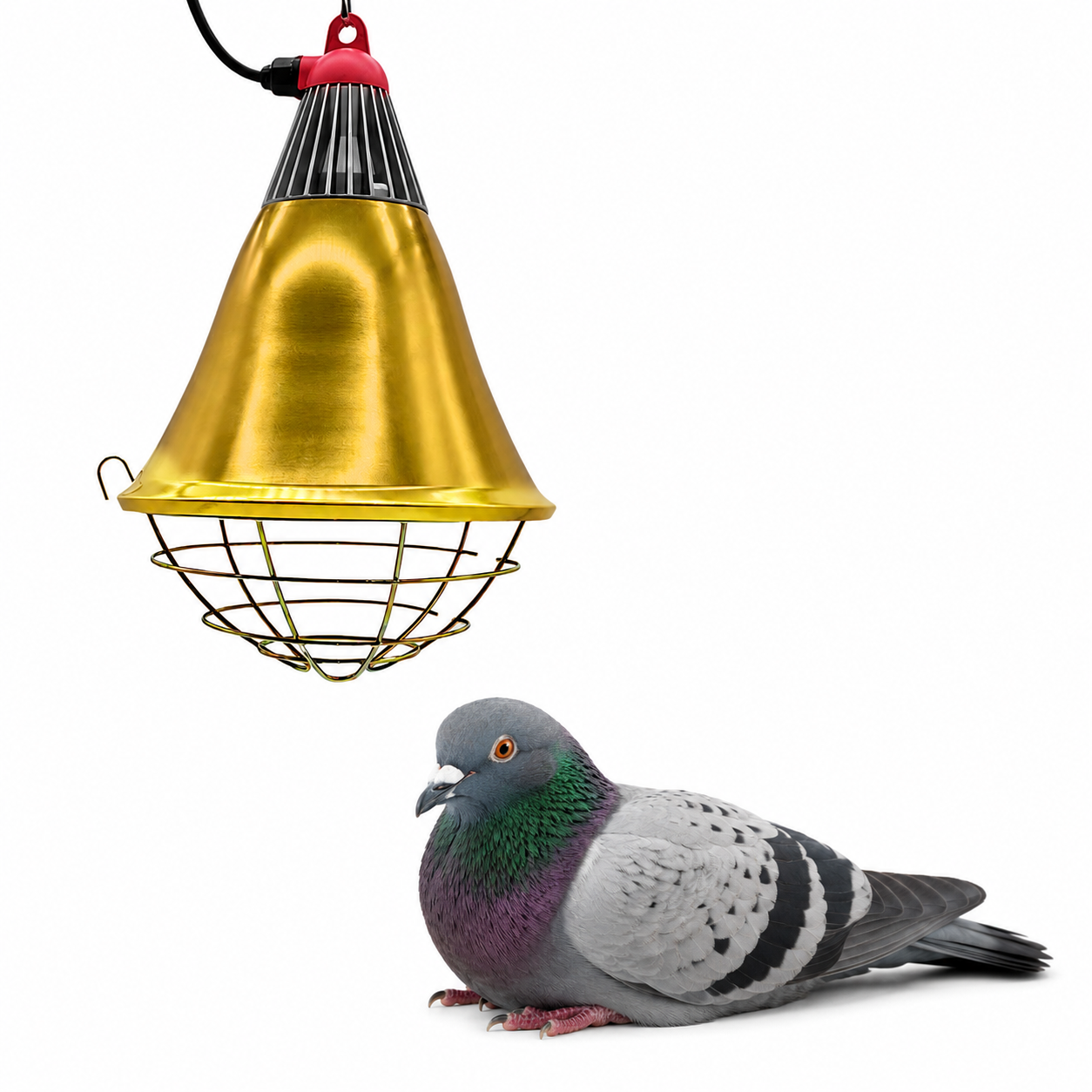 Insulated Bird Heat-Lamp Shade - Image 4