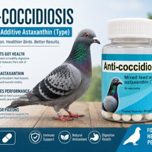 Anti-Coccidiosis Capsules for Pigeons – 60 Count