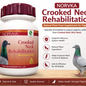 Crooked Neck Rehabilitation Tablets for Pigeons – 100 Count