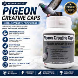 Six-in-One Pigeon Support Capsules – 120 Count
