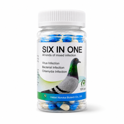 Six-in-One Pigeon Support Capsules – 120 Count