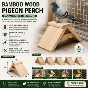 Wooden Bird Perch or Nest Accessory
