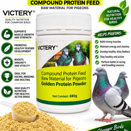 Protein Powder