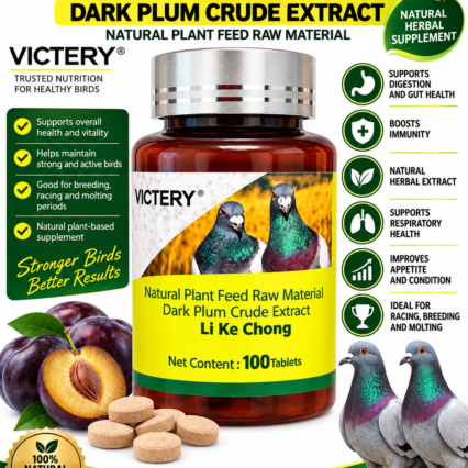 Digestive Support for Pigeons