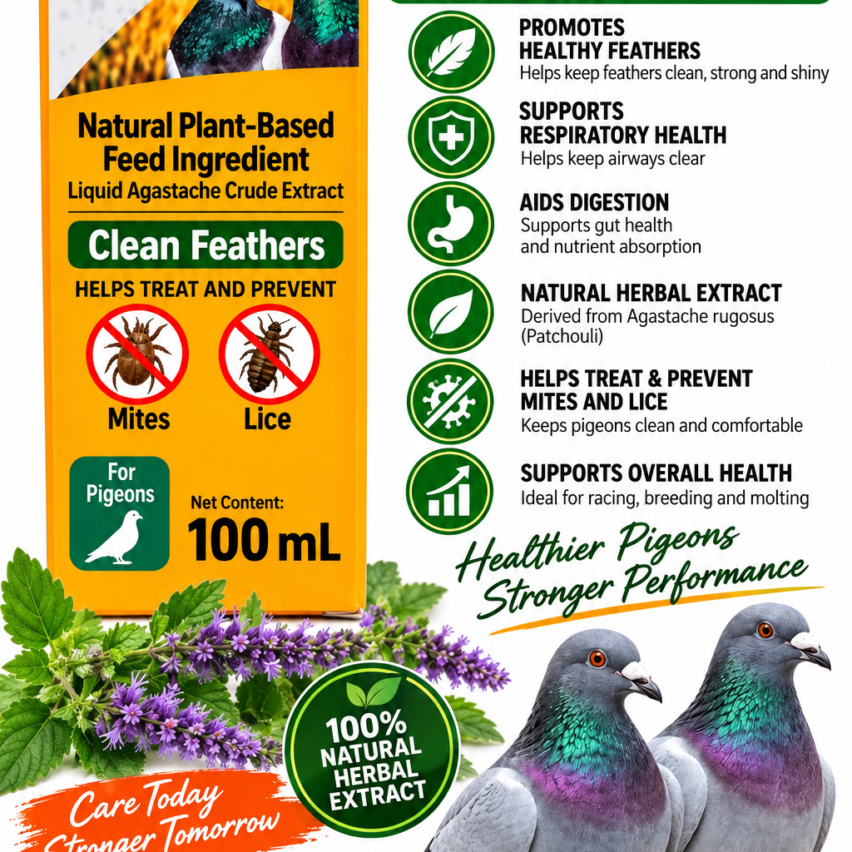 Pigeon Health & Supplements – Page 2 – Nova Pet Supply