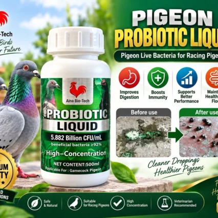 PIGEONS PROBIOTIC LIQUID