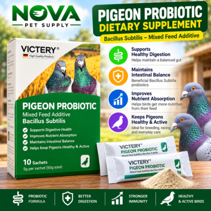 Pigeon Probiotic Powder 10 Bags